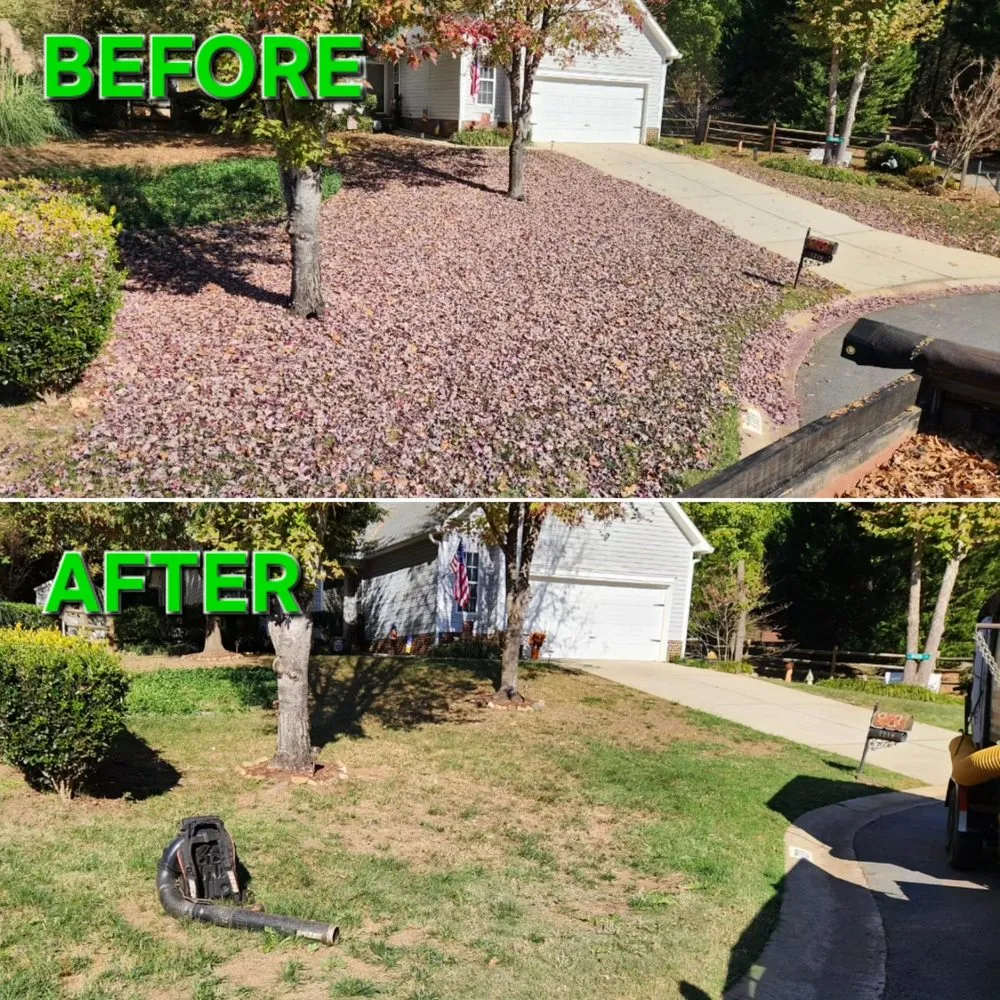 Top-rated yard cleanup service experts serving Charlotte, NC - Gramma's Lawn Landscaping