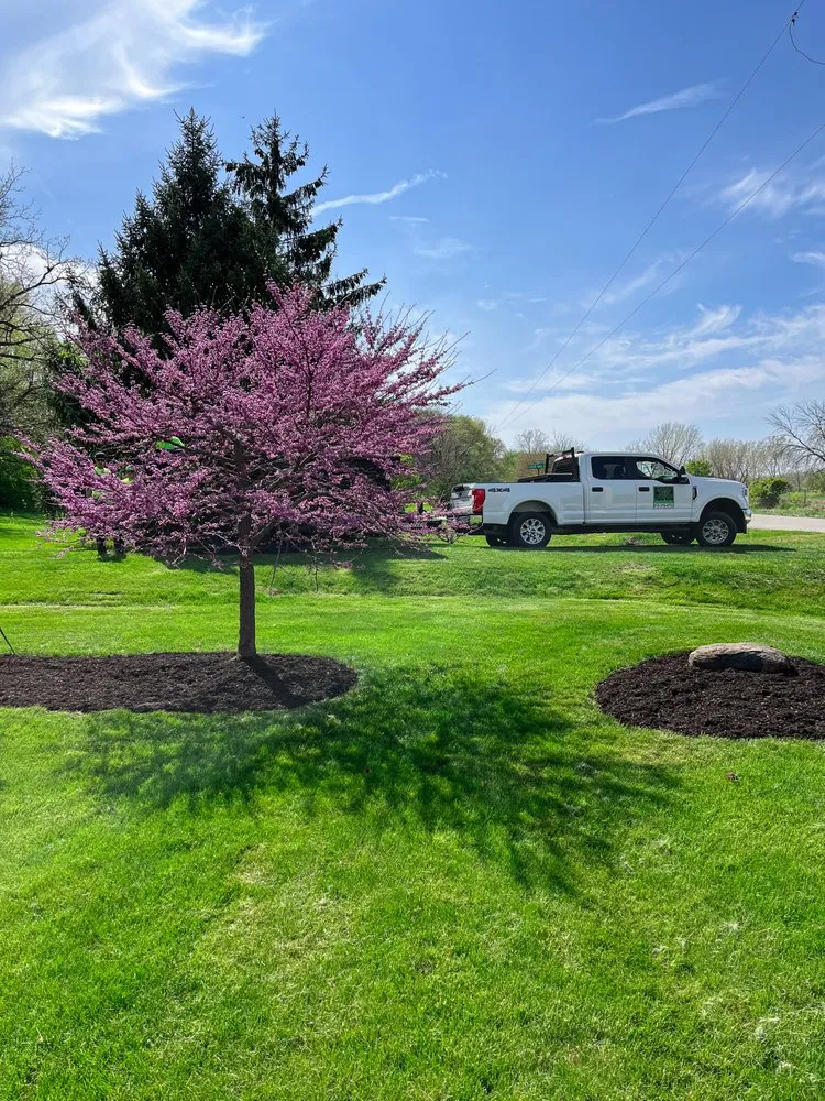 Professional yard maintenance for beautiful yards in Wilmington, IL by Grams Lawn Service