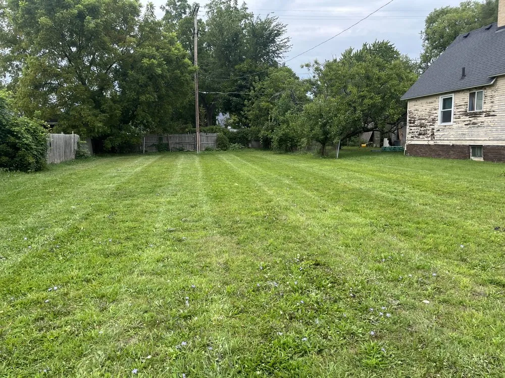 Expert yard cleanup service experts serving Saginaw, MI - Gran Lawn Care