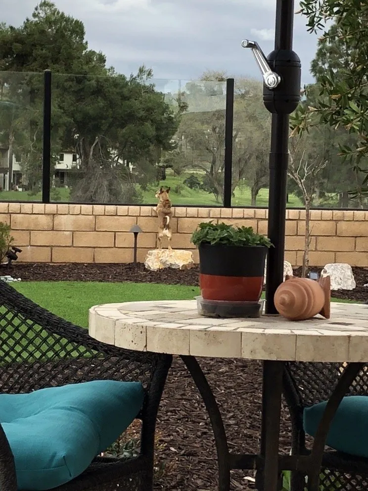 Reliable landscape installation with custom design across San Marcos, CA - Gran Tierra