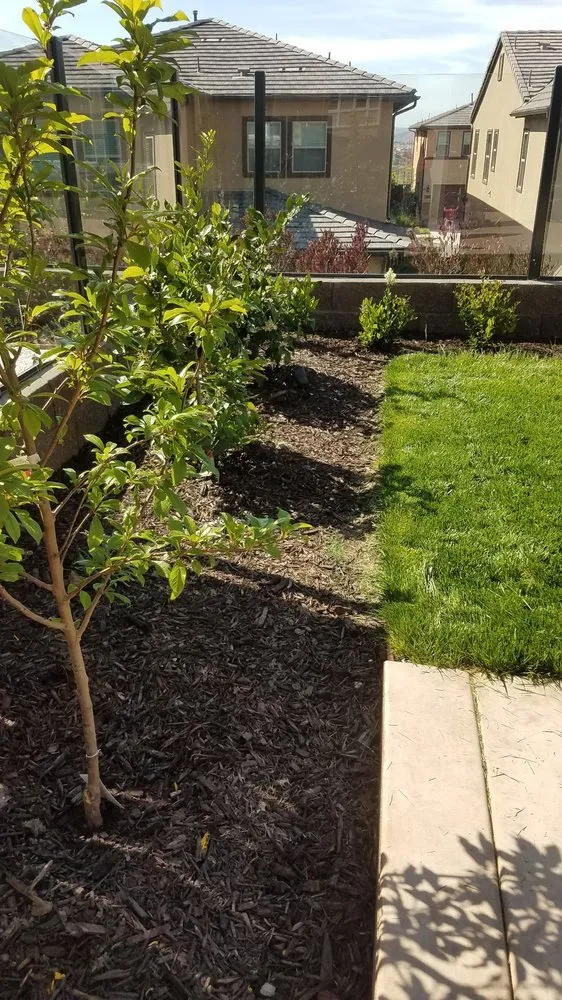 Reliable outdoor landscaping in San Marcos, CA by Gran Tierra