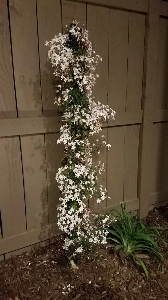 Custom lawn mowing service near you in San Marcos, CA by Gran Tierra