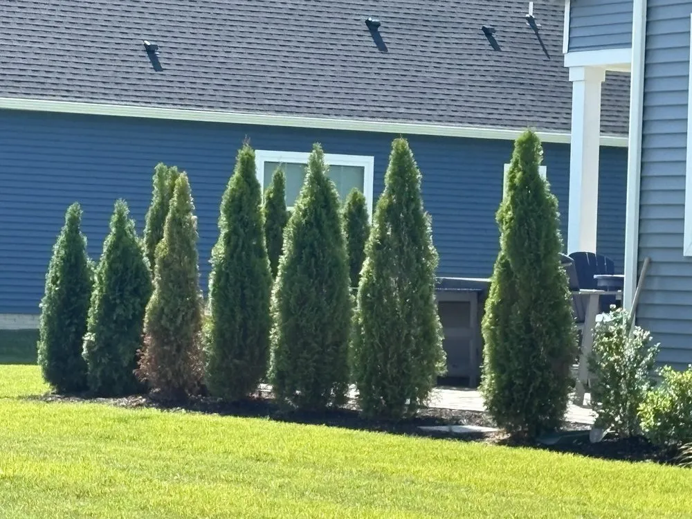 Trusted garden landscaping for beautiful yards in Frankford, DE by Granados Landscape