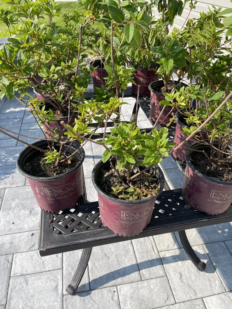 Reliable residential landscaping in Frankford, DE - Granados Landscape