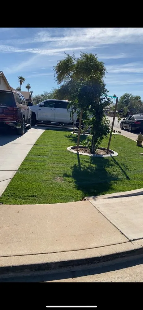 Expert yard maintenance experts serving Phoenix, AZ - Granado's Landscaping