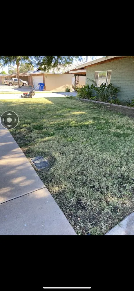 Professional outdoor landscaping in Phoenix, AZ - Granado's Landscaping