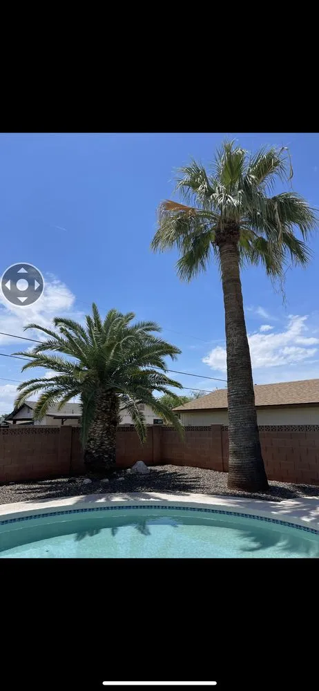 Top-rated lawn mowing service with custom design across Phoenix, AZ - Granado's Landscaping