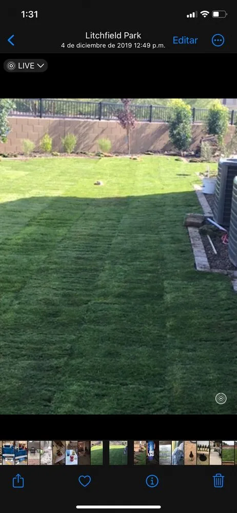 Professional residential landscaping for year-round maintenance in Phoenix, AZ by Granado's Landscaping