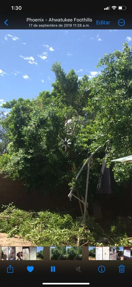 Expert residential landscaping in Phoenix, AZ by Granado's Landscaping