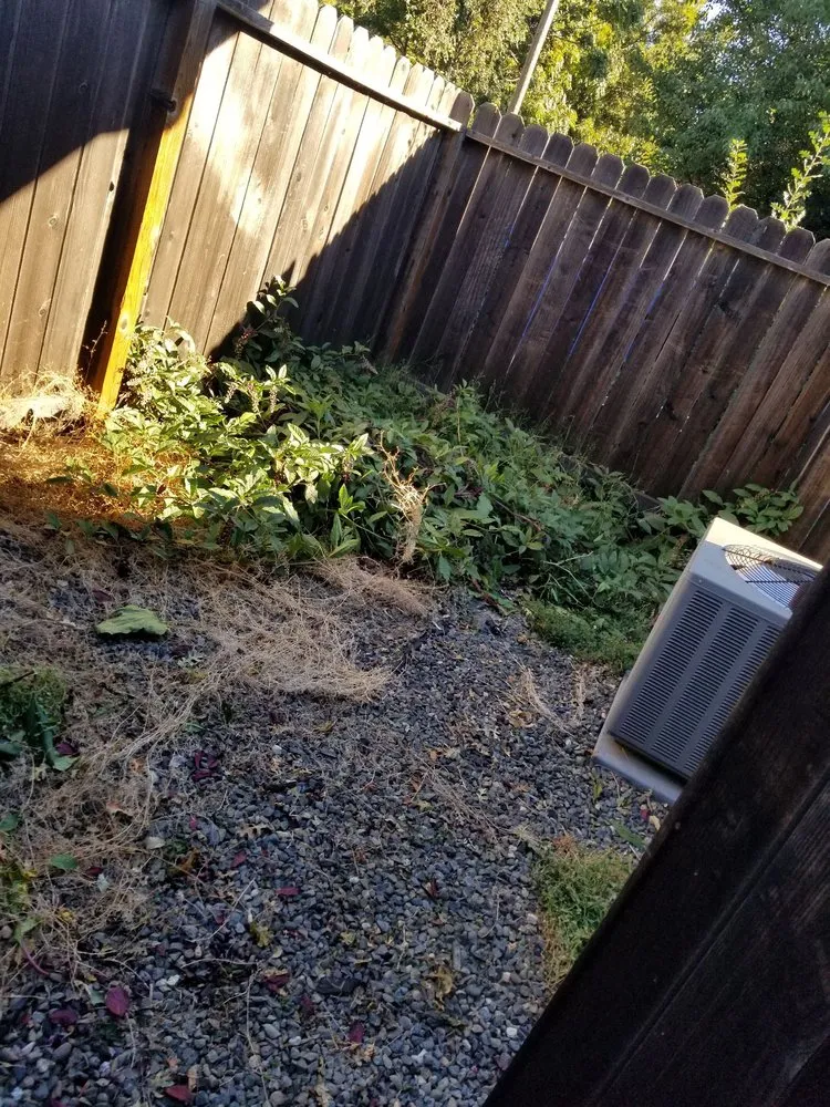 Professional yard maintenance experts serving Sacramento, CA - Granados Landscaping