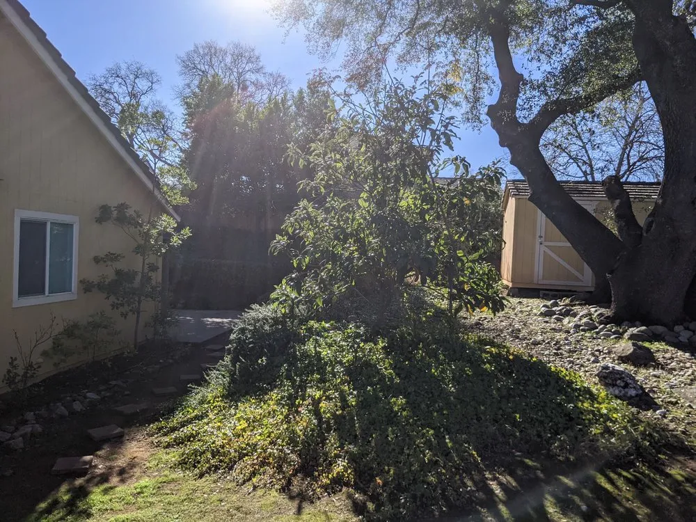 Affordable landscaping services for outdoor upgrades in Sacramento, CA by Granados Landscaping