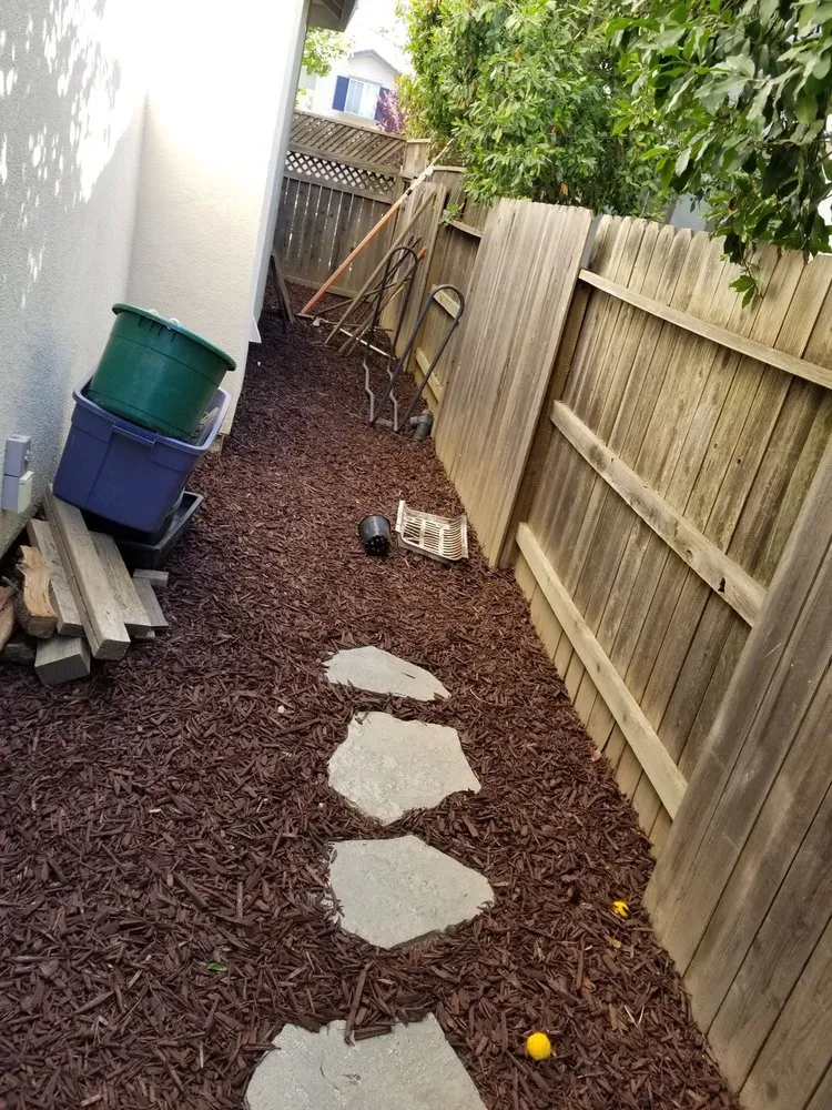 Professional yard cleanup service in Sacramento, CA by Granados Landscaping