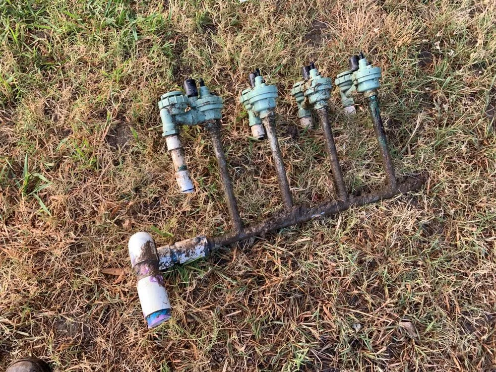 Expert yard cleanup service for year-round maintenance across Sacramento, CA - Granados Landscaping