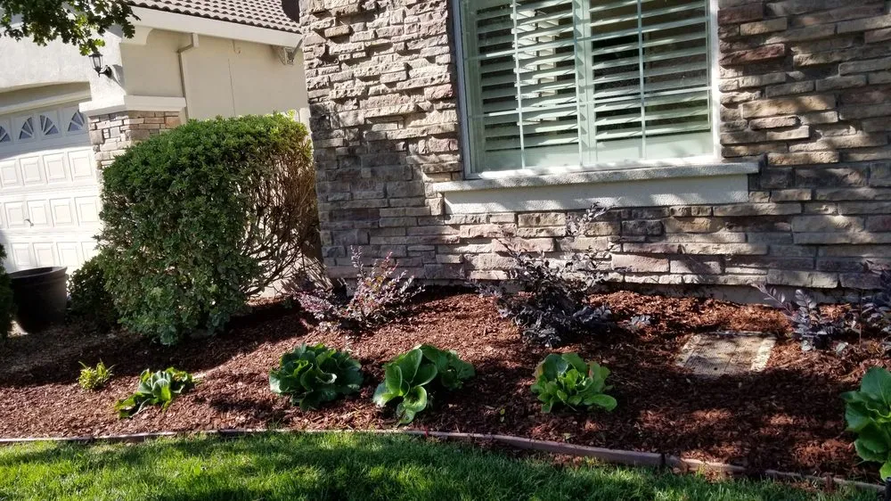 Custom yard cleanup service in Sacramento, CA - Granados Landscaping