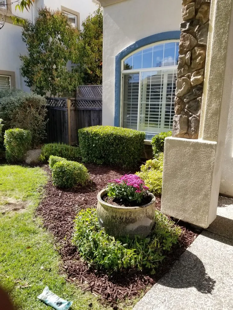 Top-rated lawn care service in Sacramento, CA by Granados Landscaping