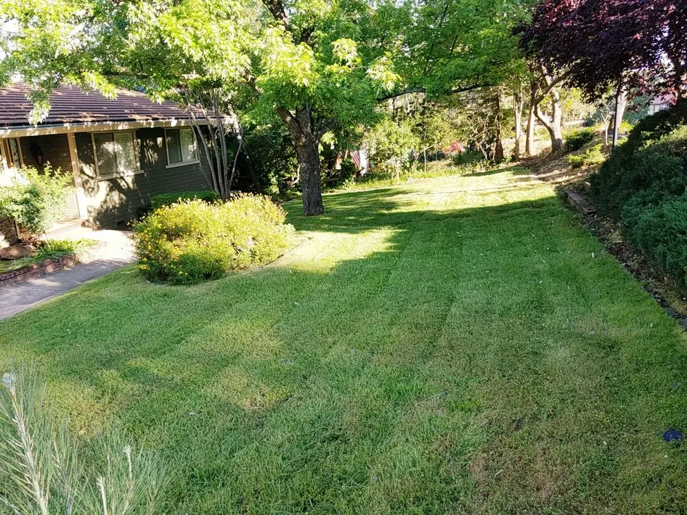 Local residential landscaping in Sacramento, CA by Granados Landscaping