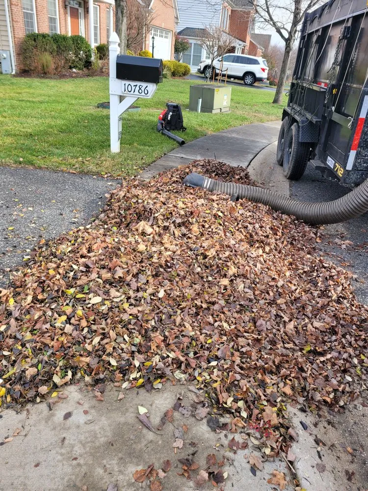 Reliable lawn care service with custom design in Woodlawn, MD by Granados landscaping services