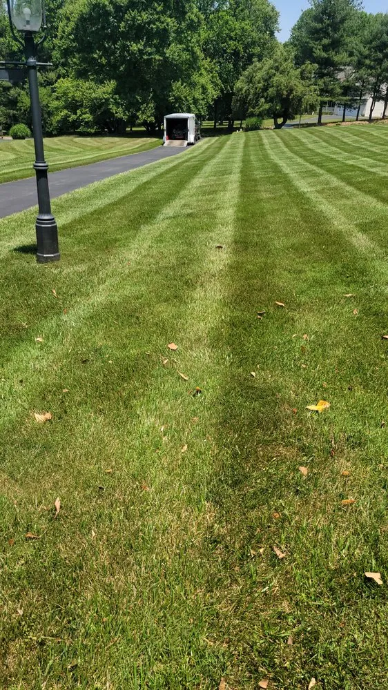 Expert landscape design experts serving Woodlawn, MD - Granados landscaping services