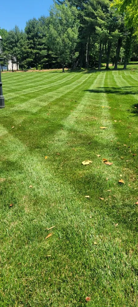 Local lawn care service for outdoor upgrades in Woodlawn, MD by Granados landscaping services