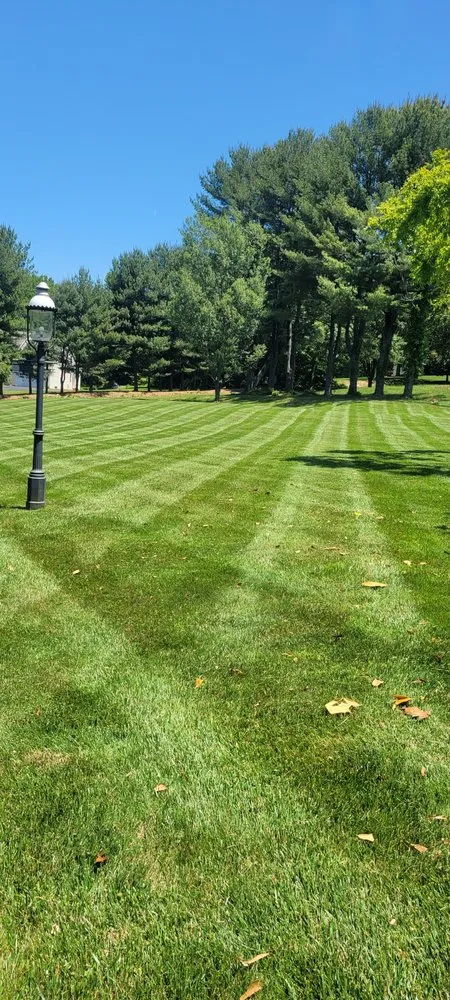 Professional landscape design in Woodlawn, MD by Granados landscaping services