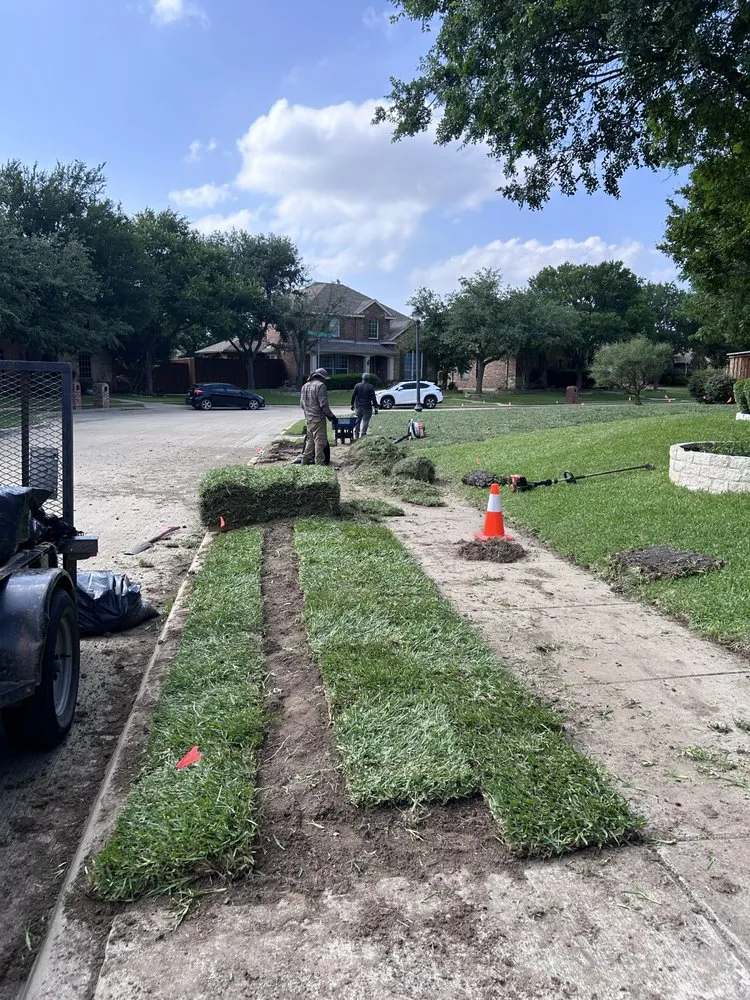 Affordable yard maintenance near you in Mesquite, TX by Granados Paradise Landscaping