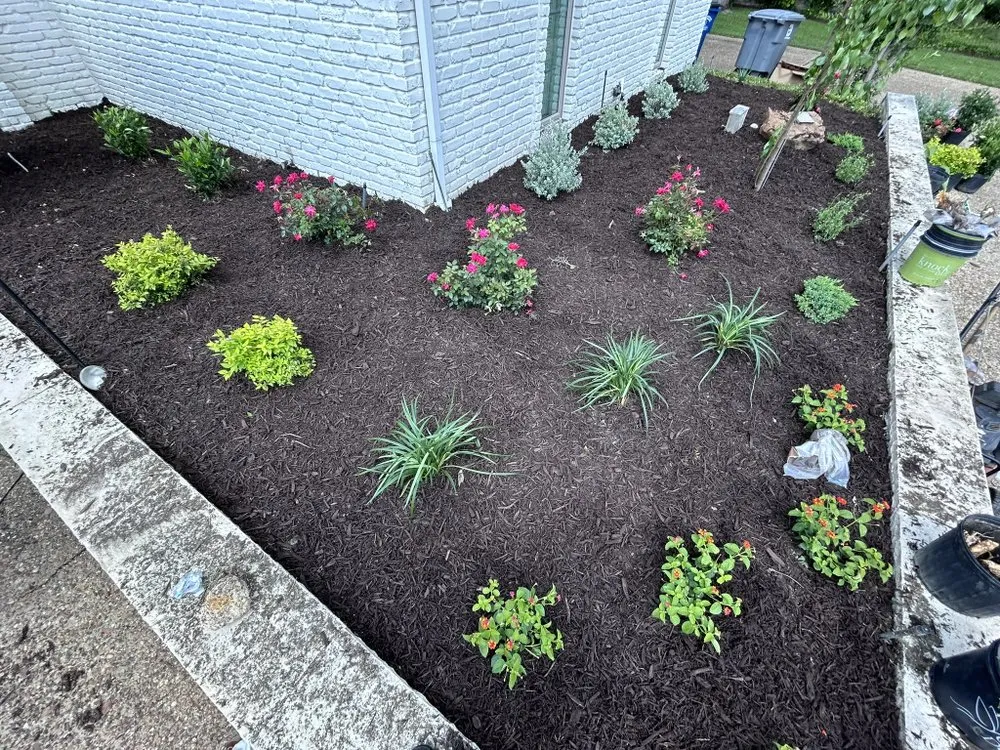 Reliable lawn mowing service in Mesquite, TX by Granados Paradise Landscaping