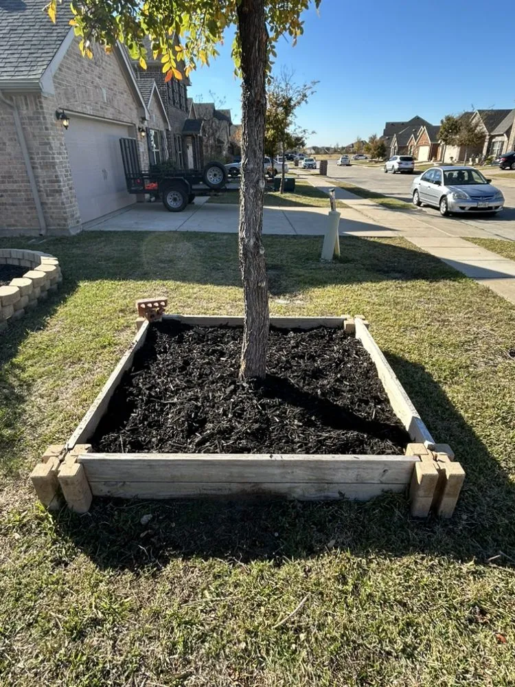 Reliable yard cleanup service in Mesquite, TX - Granados Paradise Landscaping