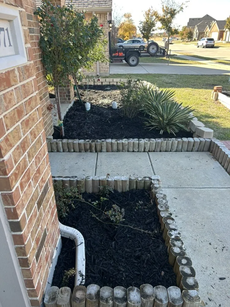 Local yard maintenance for beautiful yards across Mesquite, TX - Granados Paradise Landscaping