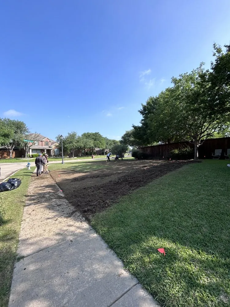 Reliable yard cleanup service for year-round maintenance across Mesquite, TX - Granados Paradise Landscaping