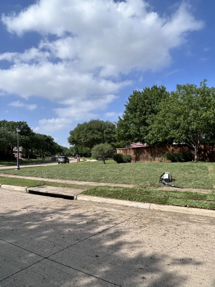 Reliable yard cleanup service for homes across Mesquite, TX - Granados Paradise Landscaping