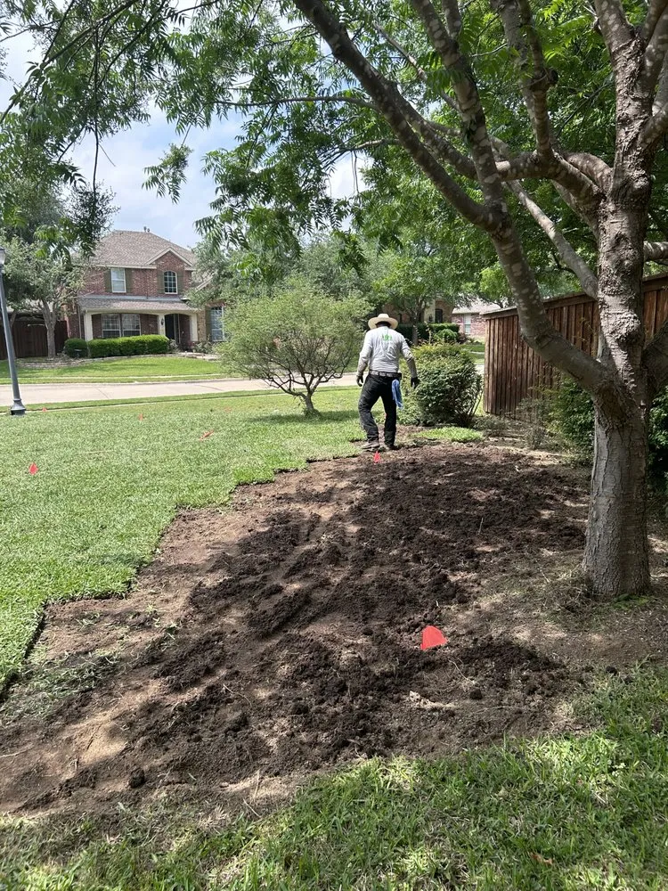 Local landscaping services in Mesquite, TX by Granados Paradise Landscaping