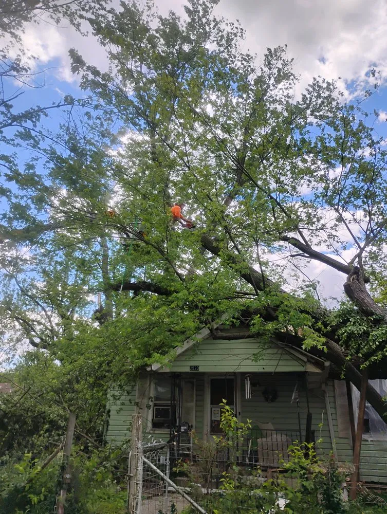 Professional outdoor landscaping experts serving Toulon, IL - Grand Allee Outdoor Svc