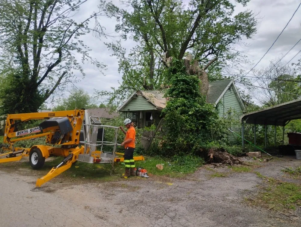 Custom landscaping services for beautiful yards across Toulon, IL - Grand Allee Outdoor Svc