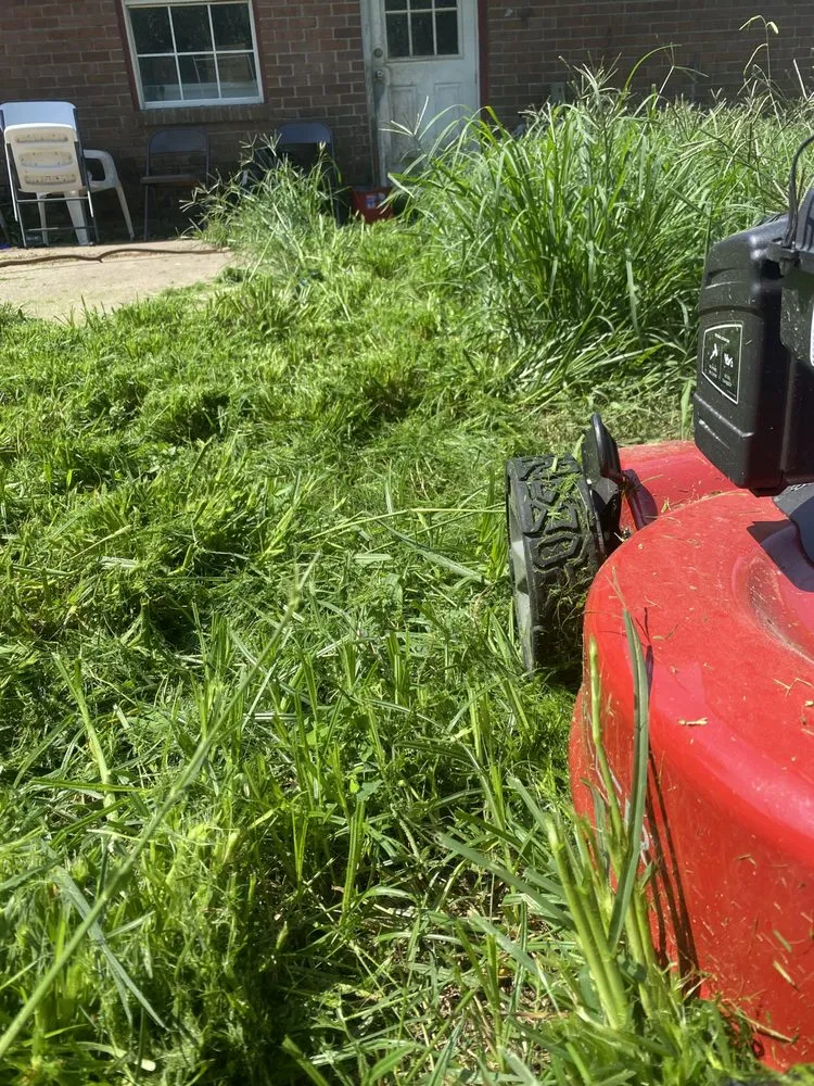 Top-rated garden landscaping in Deer Park, TX - Grand Champion