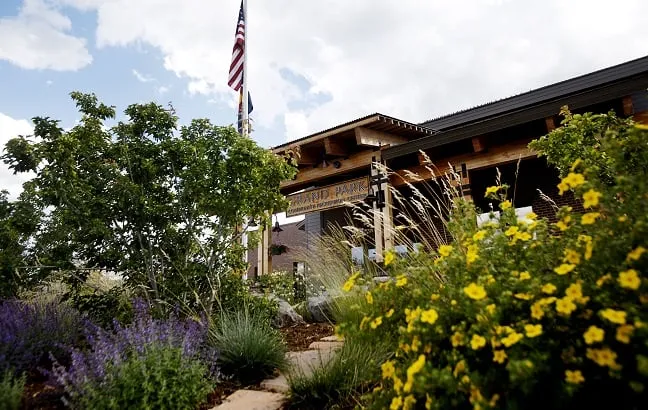 Local yard cleanup service experts serving Granby, CO - Grand County Landscaping