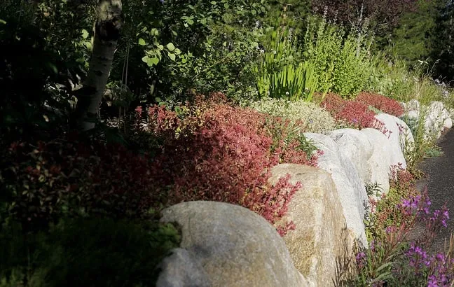 Professional garden landscaping experts serving Granby, CO - Grand County Landscaping