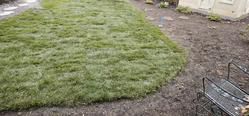 Top-rated landscape installation for outdoor upgrades across Raleigh, NC - Grand Design