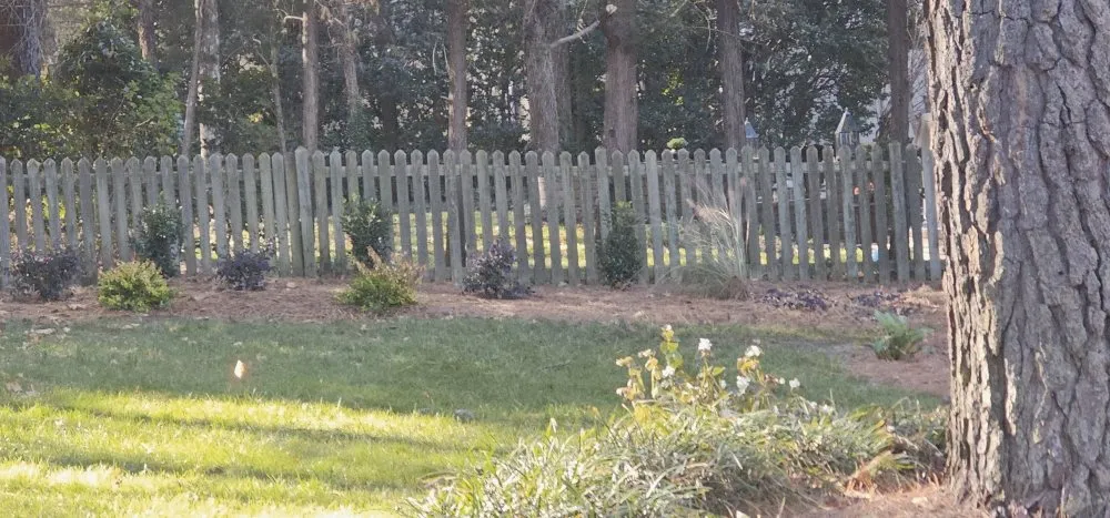 Reliable garden landscaping in Raleigh, NC by Grand Design