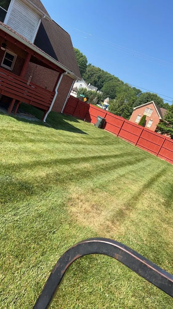 Top-rated garden landscaping experts serving Nashville, TN - Grand Forest