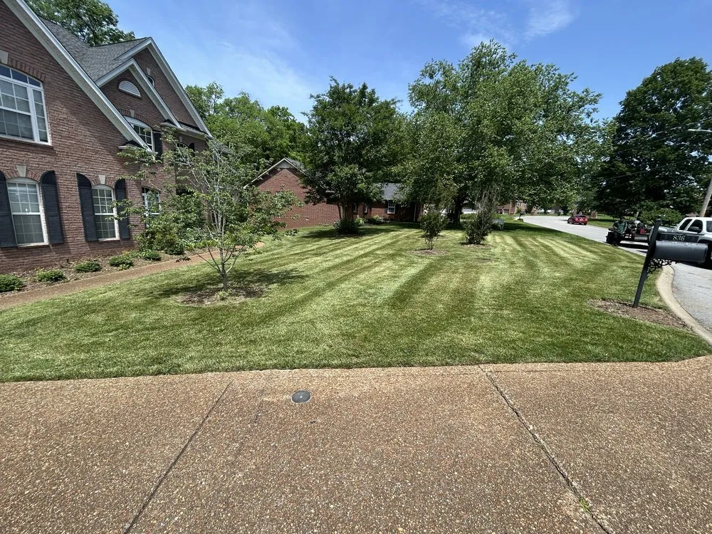 Affordable residential landscaping in Nashville, TN - Grand Forest