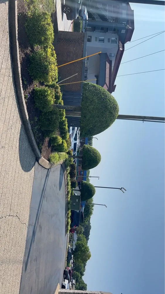 Custom landscape installation for residential properties in Nashville, TN by Grand Forest