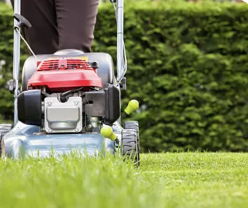 Top-rated garden landscaping in Nashville, TN - Grand Forest