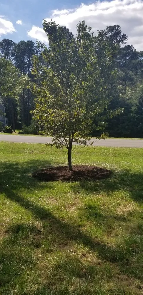 Local landscape design in Chesterfield, VA - Grand Gardens