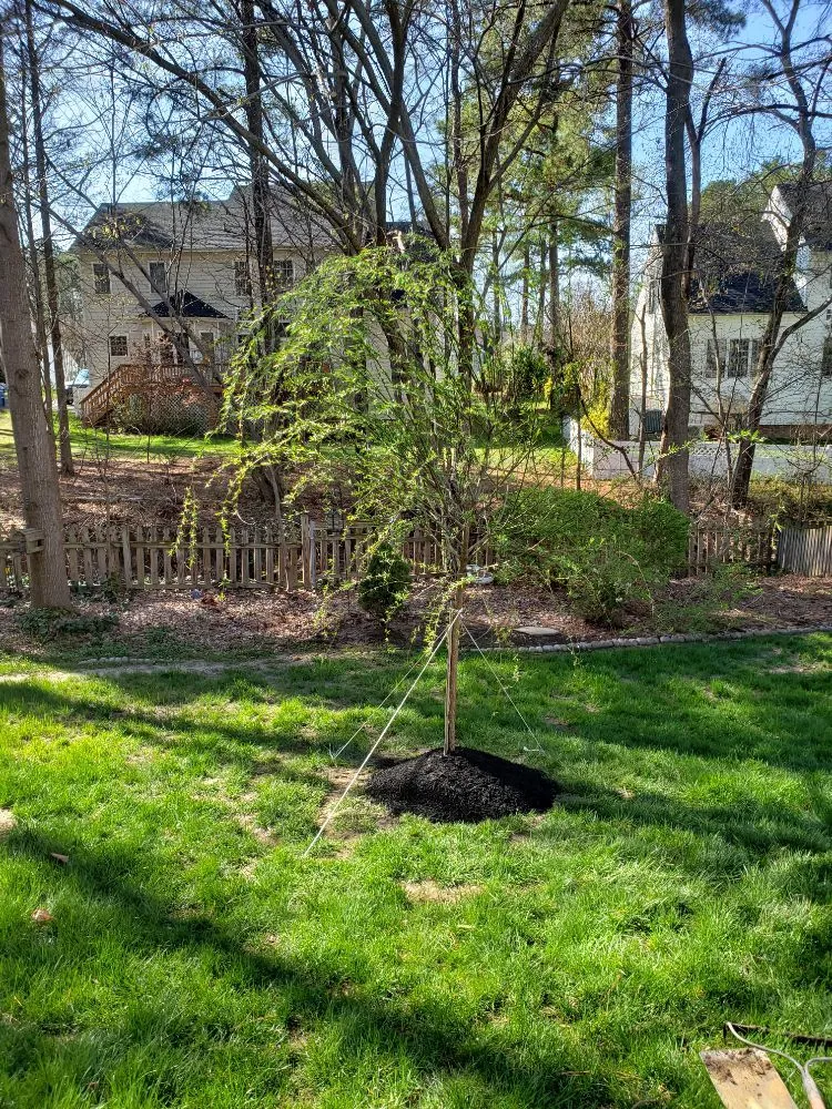 Trusted lawn care service with custom design in Chesterfield, VA by Grand Gardens