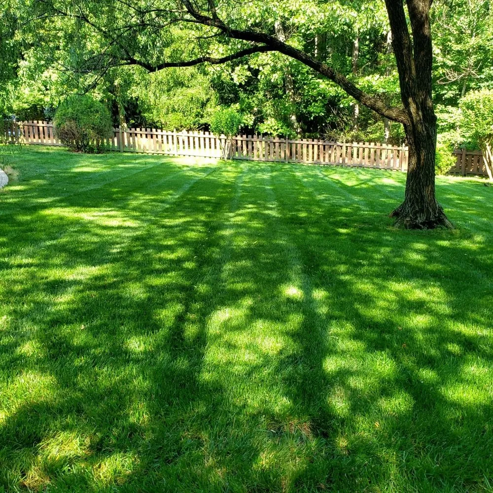 Expert yard cleanup service near you in Chesterfield, VA by Grand Gardens