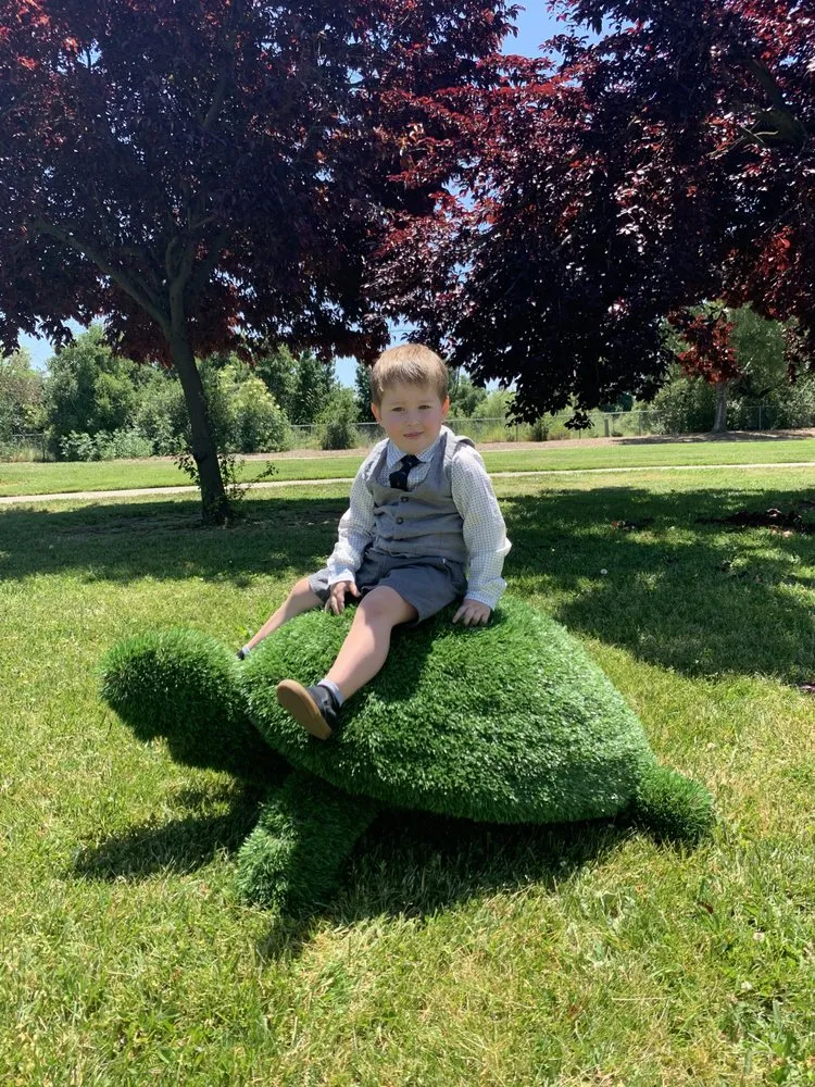 Reliable lawn care service in Sacramento, CA - Grand Green Dady