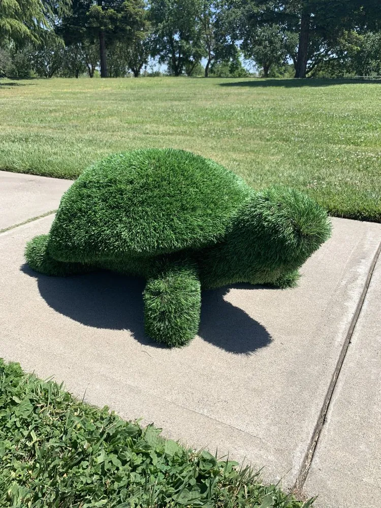 Reliable yard cleanup service near you in Sacramento, CA by Grand Green Dady