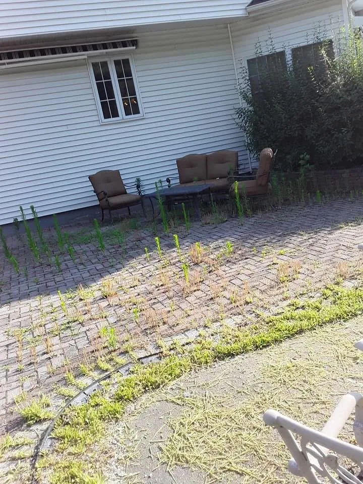 Professional yard maintenance near you in Jackson Township, NJ by Grand Landscaping
