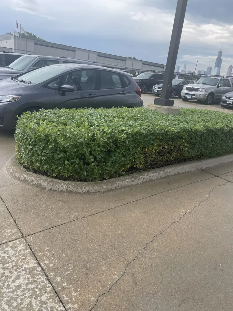 Trusted lawn mowing service experts serving Naperville, IL - Grand Landscaping