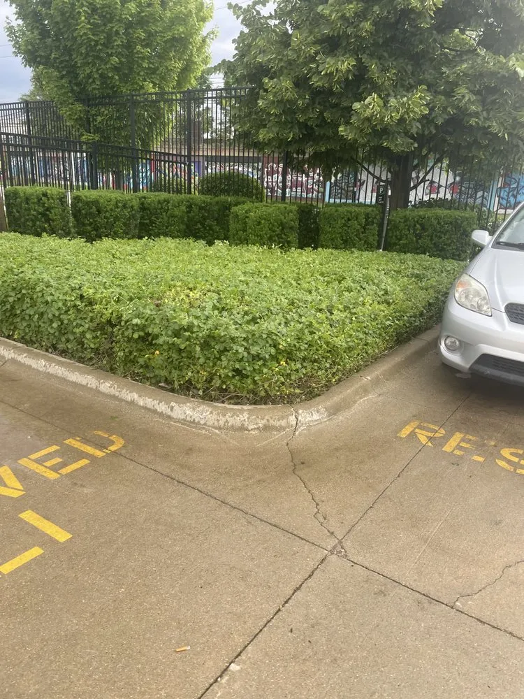 Trusted yard maintenance in Naperville, IL by Grand Landscaping